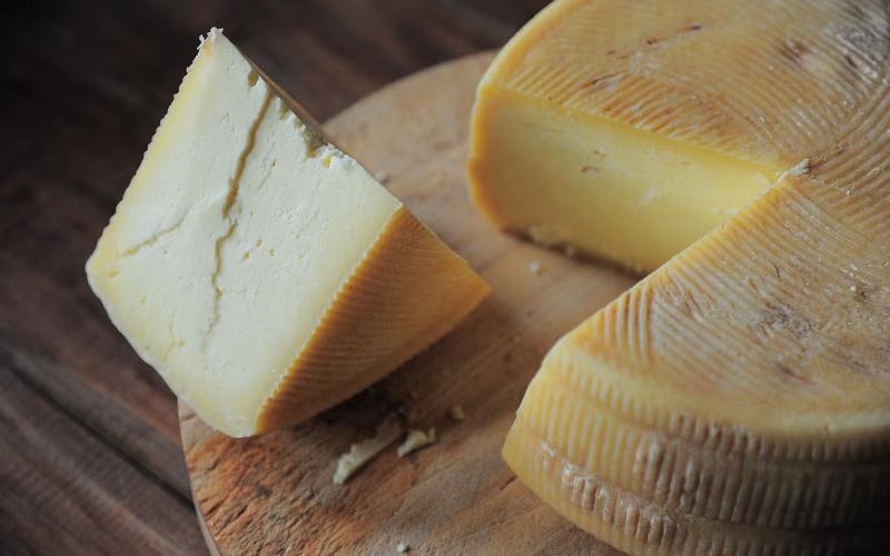America’s Protein Craze Is Reshaping the Dairy Industry
