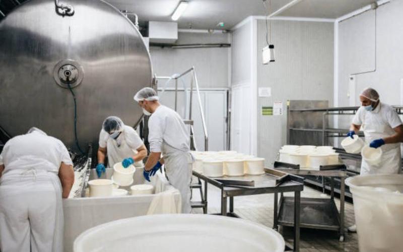 Buffalo Peynir Üreticisi, Medellín ve Barranquilla'ya Tedarikini Genişletiyor