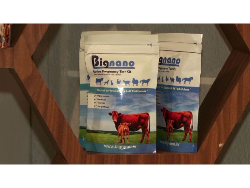 An Early Pregnancy Detection Kit Changes Dairy Herd Management