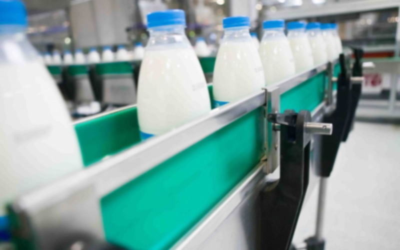 Chile Authorizes Three Bolivian Dairy Plants for Milk Exports