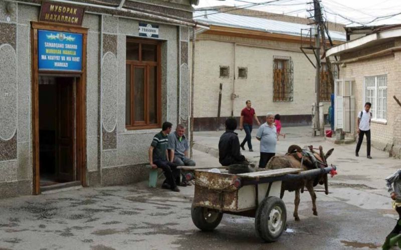 Названы самые бедные и богатые регионы Узбекистана