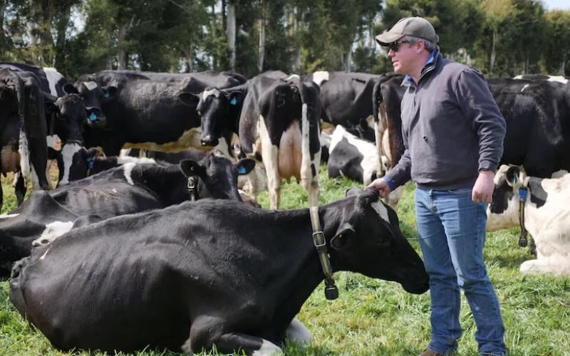 Coles’ $105M Dairy Coup: Why Farmers Fear a Retail Squeeze