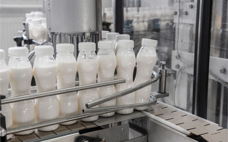 USDA 2025-2026 için ABD Süt Üretim Tahminini Artırdı