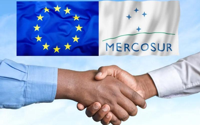 Mercosur-EU: The Great Agricultural Leap at Stake