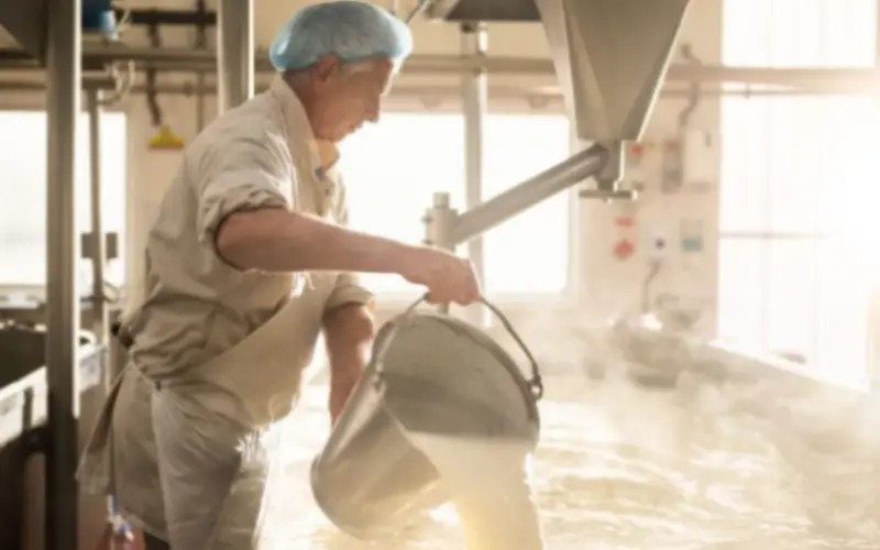 How one U.S. cheese manufacturer hopes to take advantage of tariffs