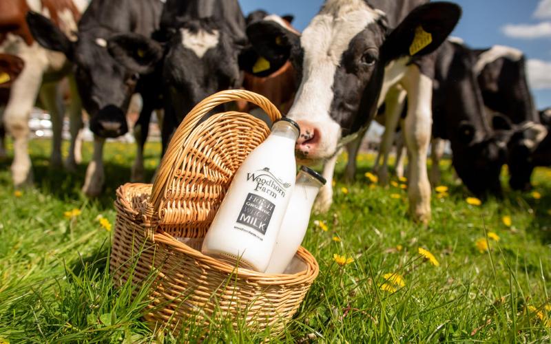 El sector de productos lácteos orgánicos del Reino Unido impulsa el crecimiento del mercado con un aumento de ventas