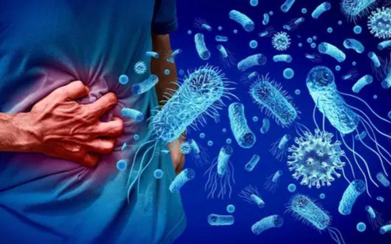 Listeria Salgını Avrupa'da Süt Ürünleri Güvenliği Önlemlerini Artırıyor