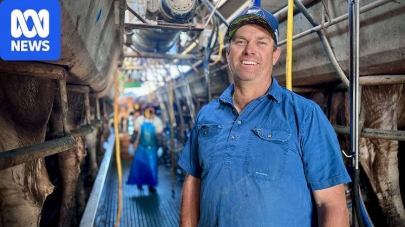 Kenilworth Dairies offers lifeline to Queensland farm facing closure