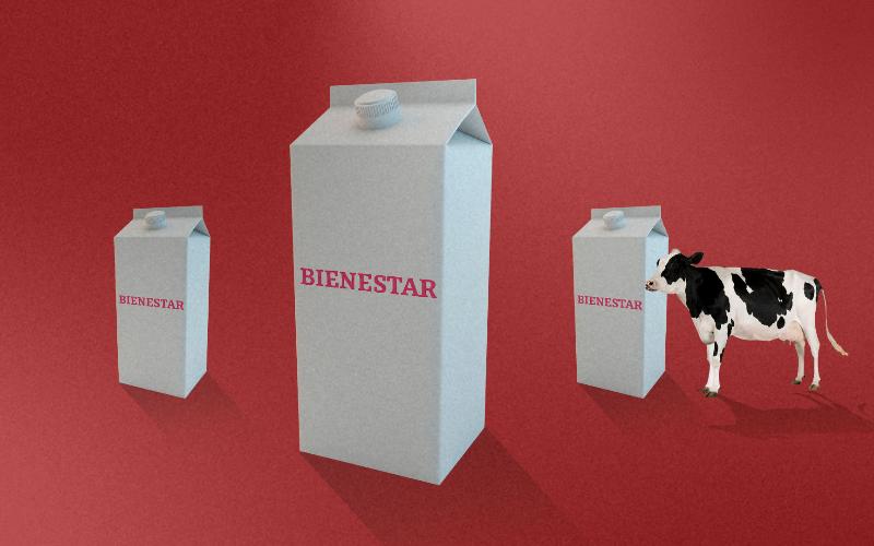 Mexican Milk Program Leche para el Bienestar Achieves 2025 Goal Early