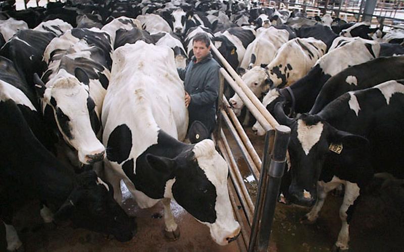 Baja California Sur Dairy Production Reaches New Milestone with State Support