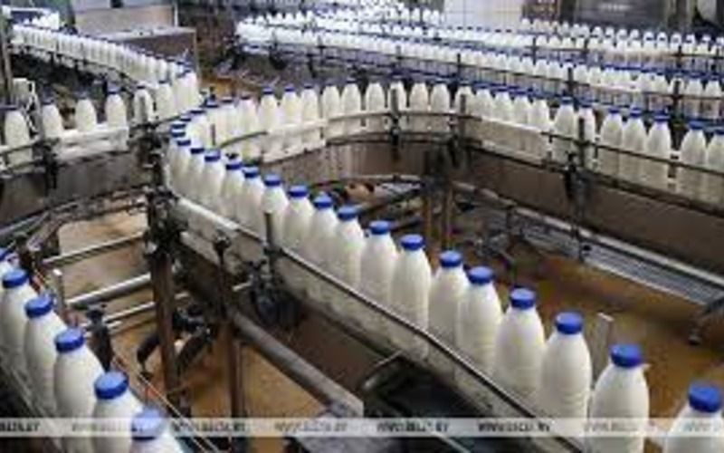 Производство молока в Австралии в июле-ноябре 2022 года снизилось на 7,2%
