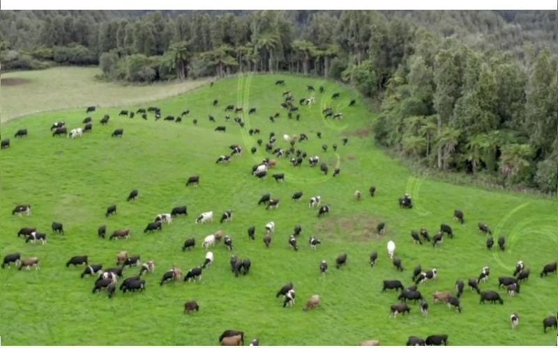 Global Food Index Sees Price Paradox
