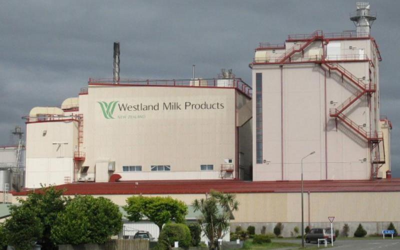 Westland Dairy Projects Revenue Growth Amidst Export and Value-Added Sales Rise
