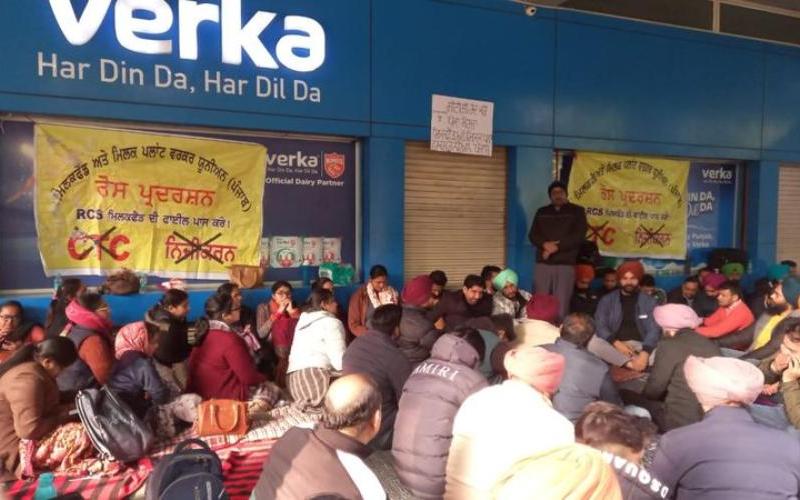 Verka Strike Threatens 12 Lakh Litres: $1.8M Daily Loss