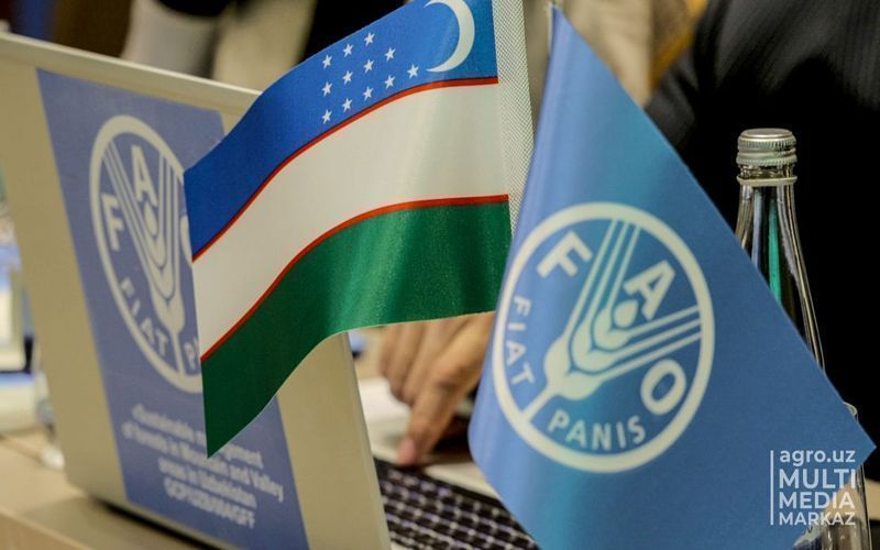 Роль гендерных подходов в развитии сельского хозяйства