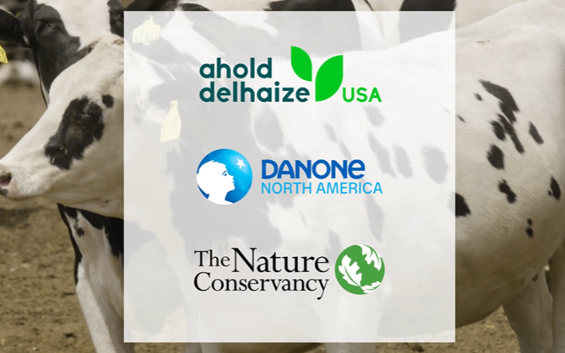 Danone Launches Global Dairy Farmer Academy to Enhance Sustainability