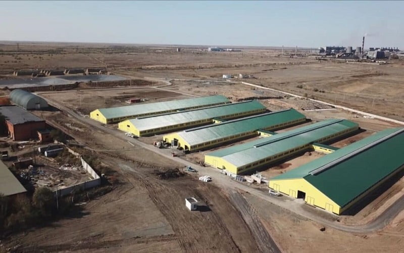 КХ «Крон Агро» вернет 8 млн тенге вместо 0,5 млрд за незнание геометрии