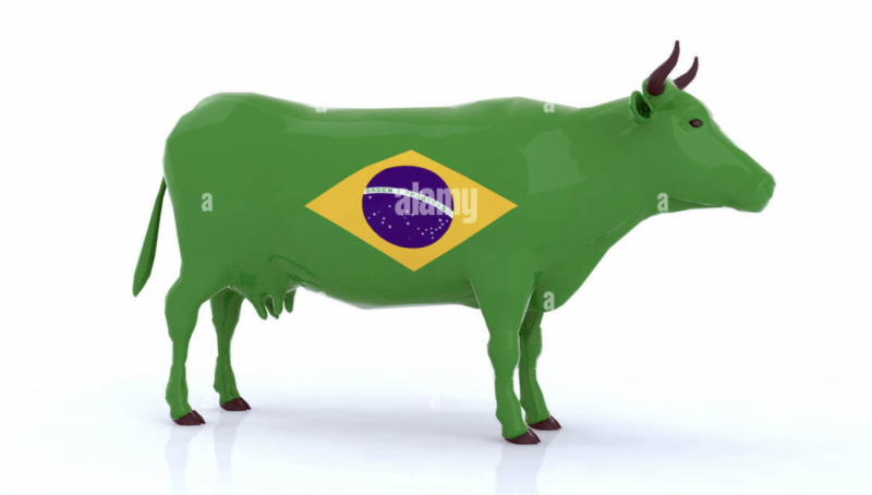 Continuous Decline in Average Raw Milk Prices in Brazil Amidst Increased Domestic Availability