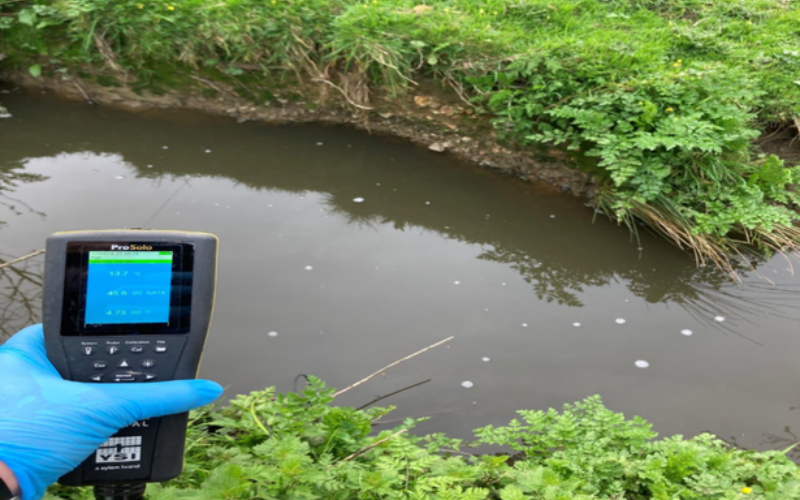 Dorset'teki Süt Çiftliğine Nehir Kirliliği Cezası