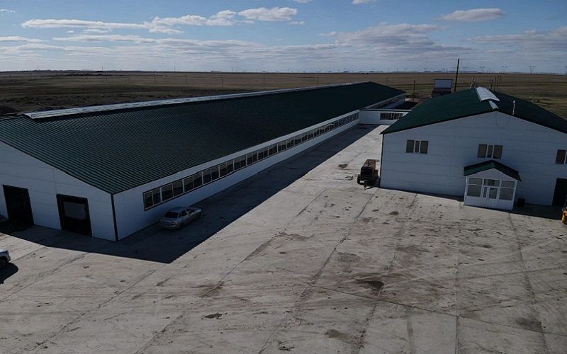 «Нежинка-Ерке» расширяет ферму и наращивает производство молока в Северо-Казахстанской области