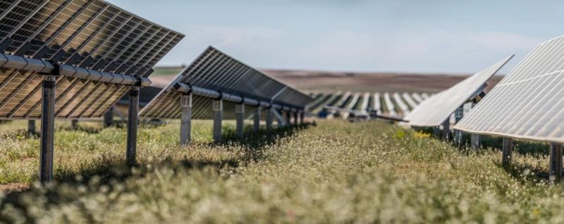Fonterra, NZ Clean Energy ile Yenilenebilir Güneş Enerjisi Projesi İçin Ortaklık Kuruyor