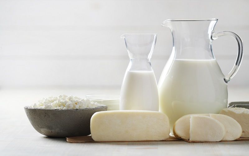 Экспорт молочной продукции из России может превысить 730 млн долларов к 2030 году