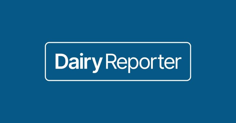 New Zealand study finds calmer, curious cows yield more milk