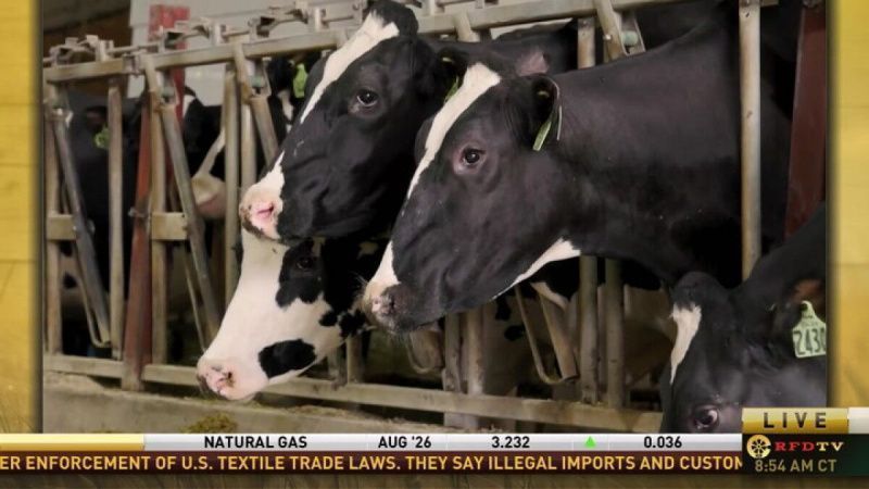 Quist Family's Dairy Farm Embraces Technology to Sustain Legacy