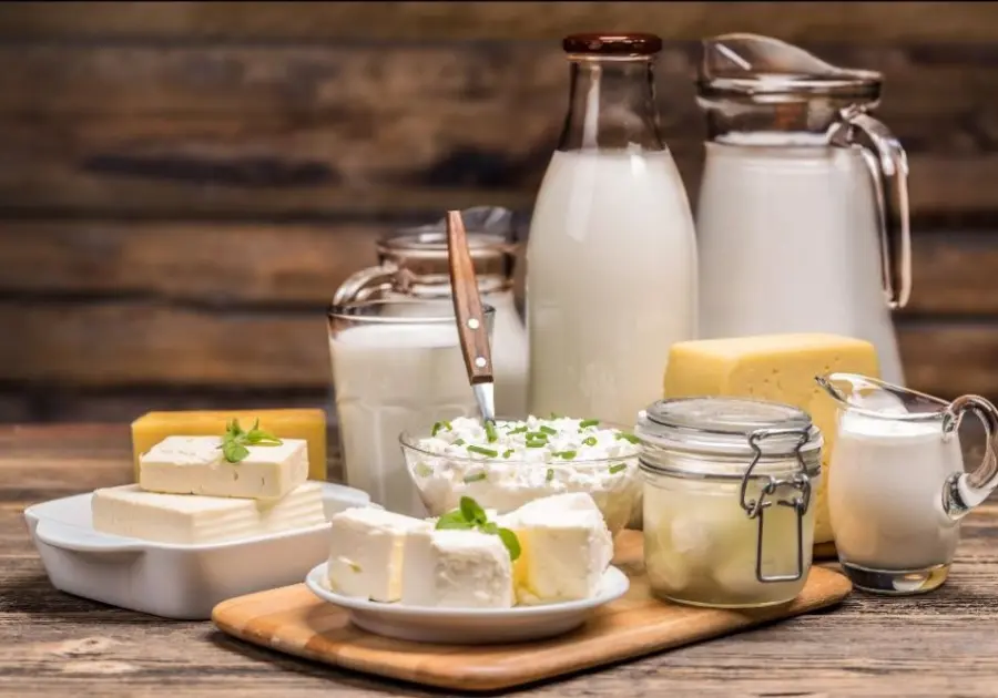 SternEnzym to showcase dairy enzymes at Fi Europe 2026
