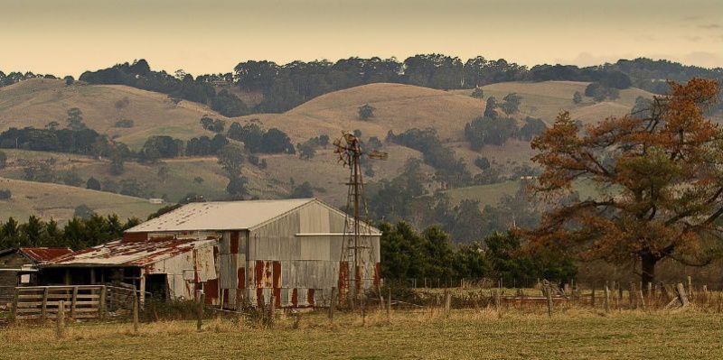 Australian Dairy Farmers Demand Subsidies to Secure Industry’s Future