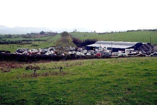  Rathfriland Mart Sees Impressive Turnout with Aberdeen Angus Bull Calves Leading the Charge