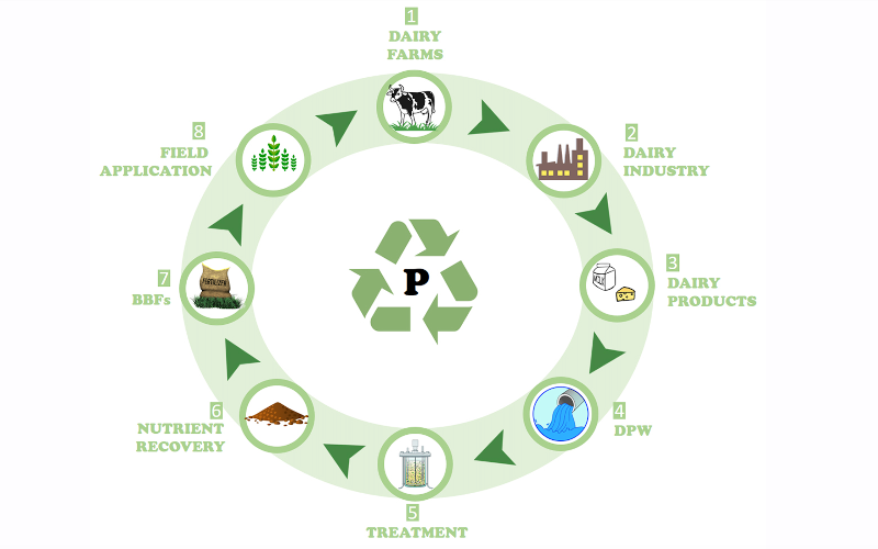 Circularity Fuels: Revolutionizing Dairy Farm Waste Conversion