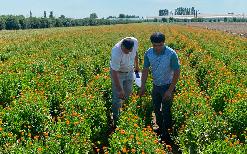 Команда мониторинга Международного центра ISCAD изучила проблемы Ташкентской области