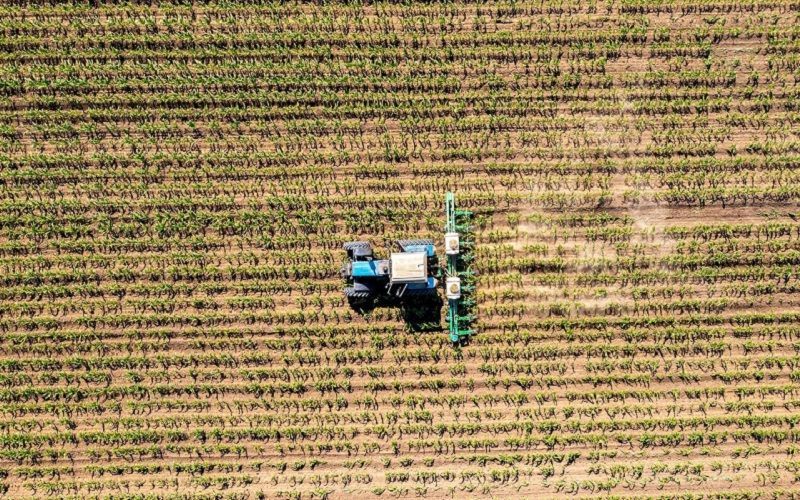 Агрохолдинг «СТЕПЬ» утвердил пятилетнюю стратегию развития «РЗ Агро»