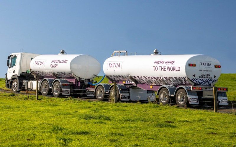 Tatua Reports Record Milk Payout as Ingredient Demand Remains Strong