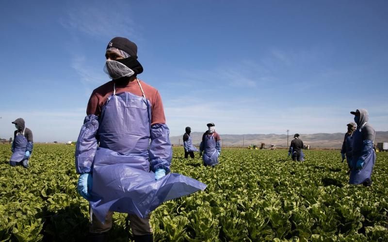 Farmers in Morelos Demand a Health Committee