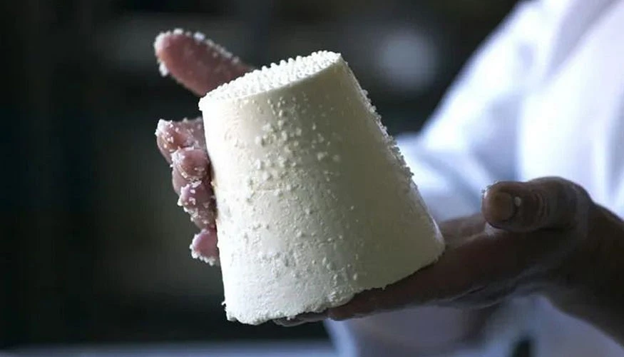 Asturias Allows Any Cattle Breed to Make Afuega’l Pitu