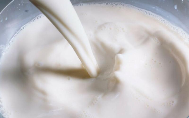 New Milk Concentration Plant in Alberta: A Boost for Canadian Dairy Industry