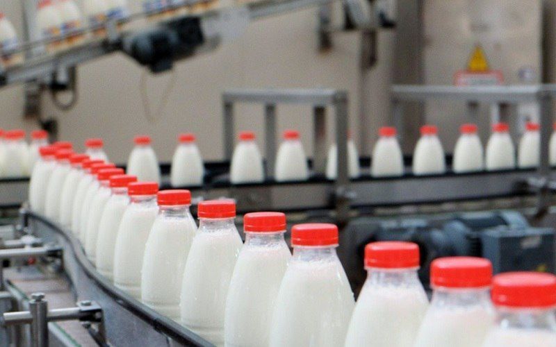 Россия наращивает экспорт молочной продукции: потенциал выхода на мировые рынки обсуждают эксперты