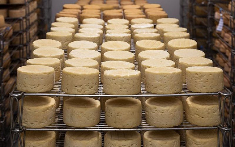 Baltic Dairy Board Launches €60 Million Cheese Production Facility in Latvia