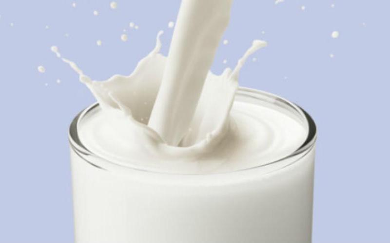 Punjab’s Milk Revolution: A Genetic Leap