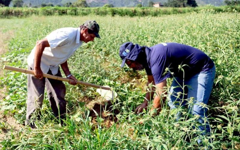 Strong Support for Camargo's Agricultural Sector