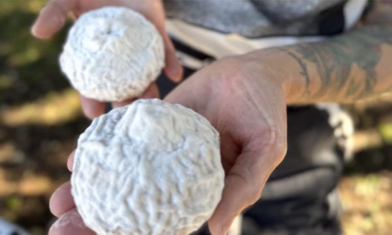 Divinas Tetas cheese brings Pink October to the cheese board