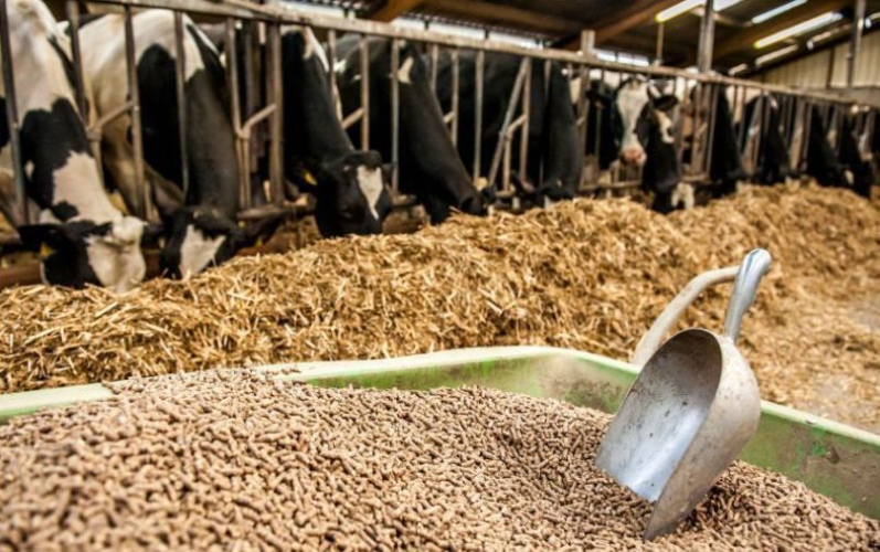 A feed mill worth $8.1 million has opened in Cameroon