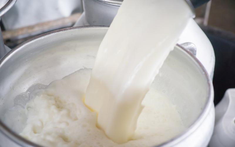 Турция одобрила литовские компании для экспорта молочных и рыбных продуктов