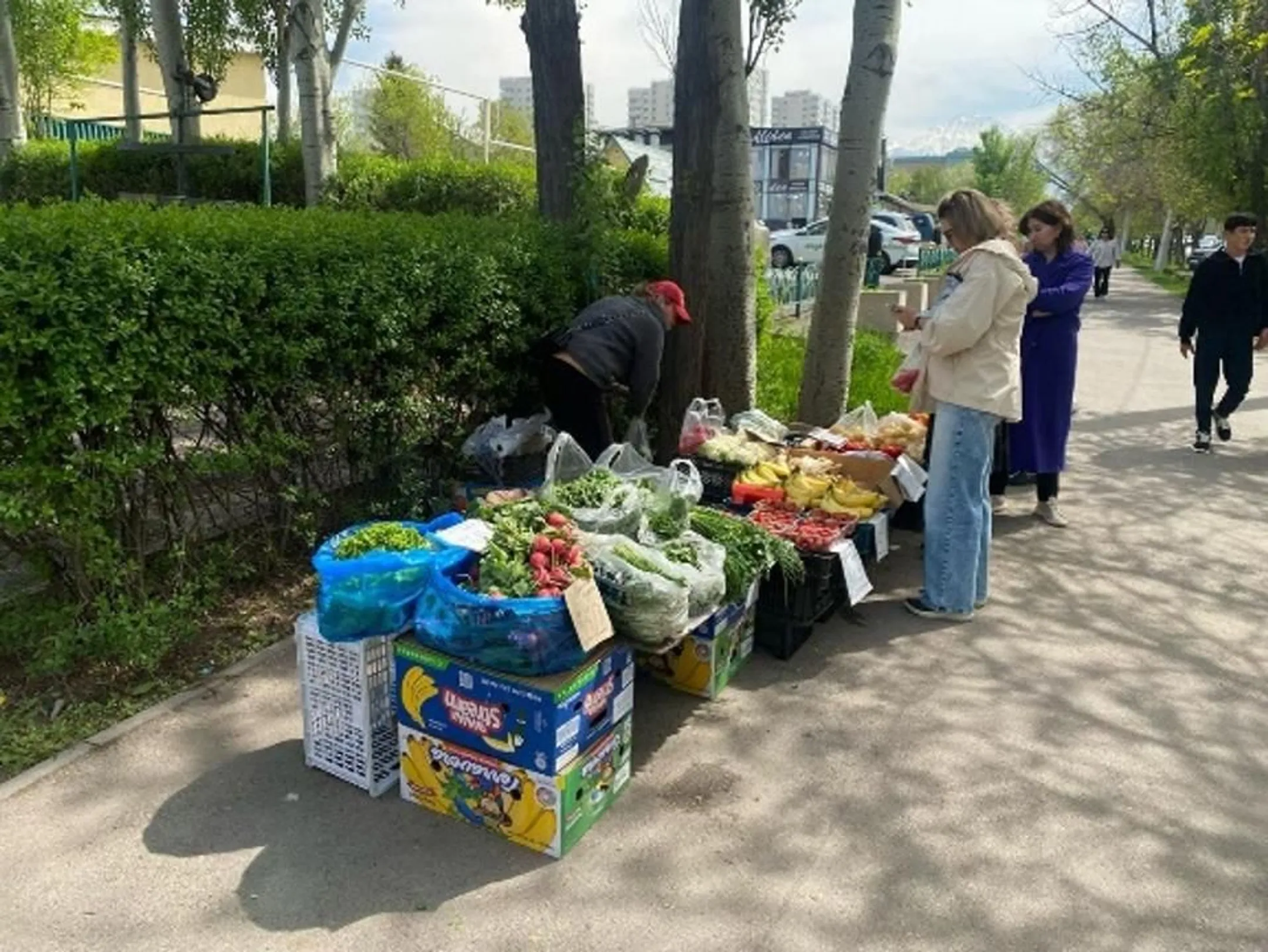 В Алматы ликвидировали нелегальные точки торговли В Алматы ликвидировали нелегальные точки торговли