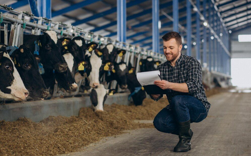 Los Ganaderos de Leche Australianos Abogan por Precios Más Altos de la Leche Ante el Aumento de Costos
