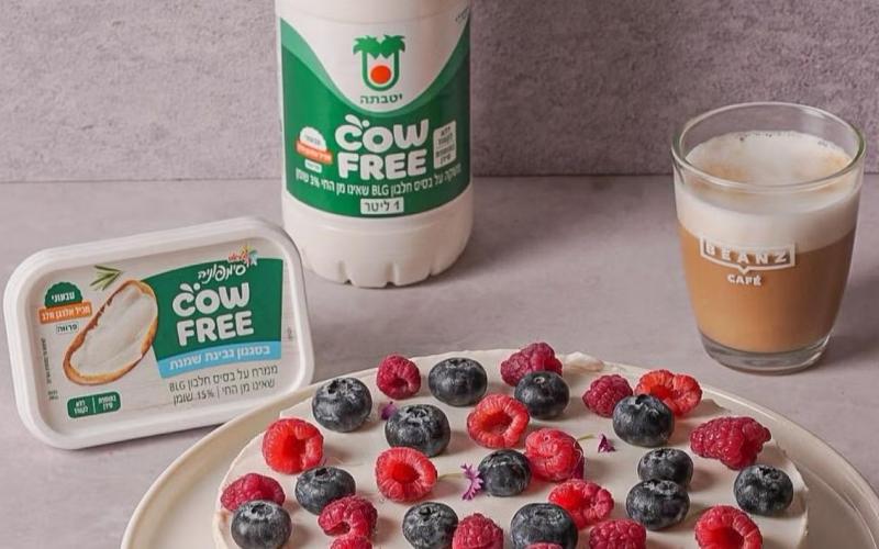 Strauss Group's Animal-Free Dairy Alternatives Sell Out in Israel