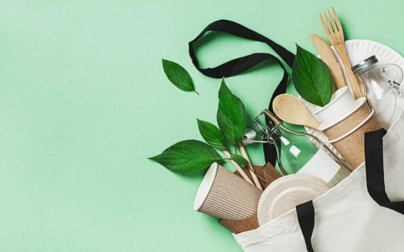 Nandini's Bold Move Towards Sustainability