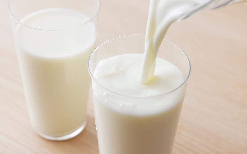 Impact of Milk Price Decline and Palm Oil Use in Chocolate Production